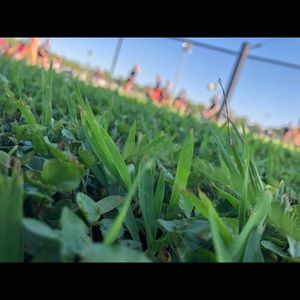 Meet your Posher, Jaime